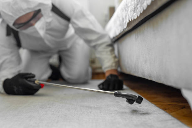 Professional Bed Bug Control technician working in Grantley, PA