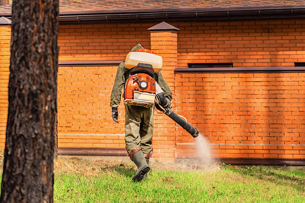 Trusted Termite Control service in Grantley, PA - Nex Pest Control